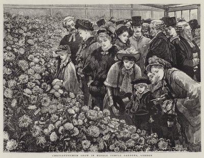 Chrysanten Show in Middle Temple Gardens, Londen door William Small